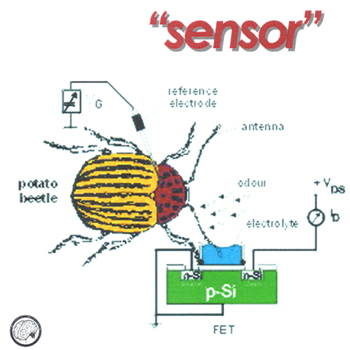 re:create - "sensor e.p."